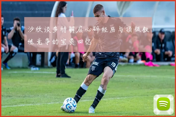 沙欣谈多特解雇心碎经历与顶级教练竞争的宝贵回忆