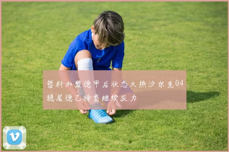 哲科加盟德甲后状态火热沙尔克04稳居德乙榜首继续发力