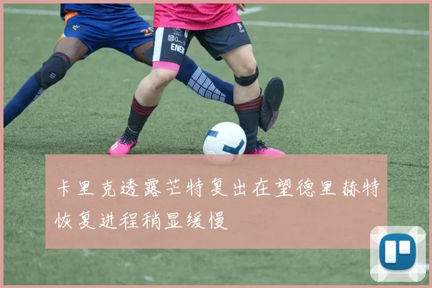 卡里克透露芒特复出在望德里赫特恢复进程稍显缓慢